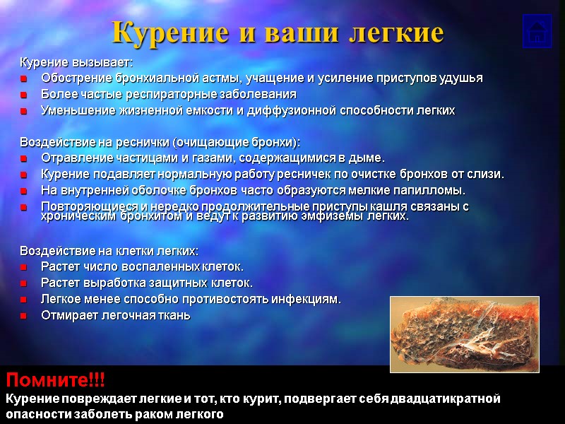 Курение и ваши легкие Курение вызывает: Обострение бронхиальной астмы, учащение и усиление приступов удушья